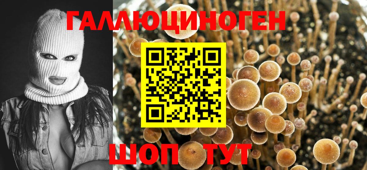 Галлюциногенные грибы Magic Shrooms Семилуки