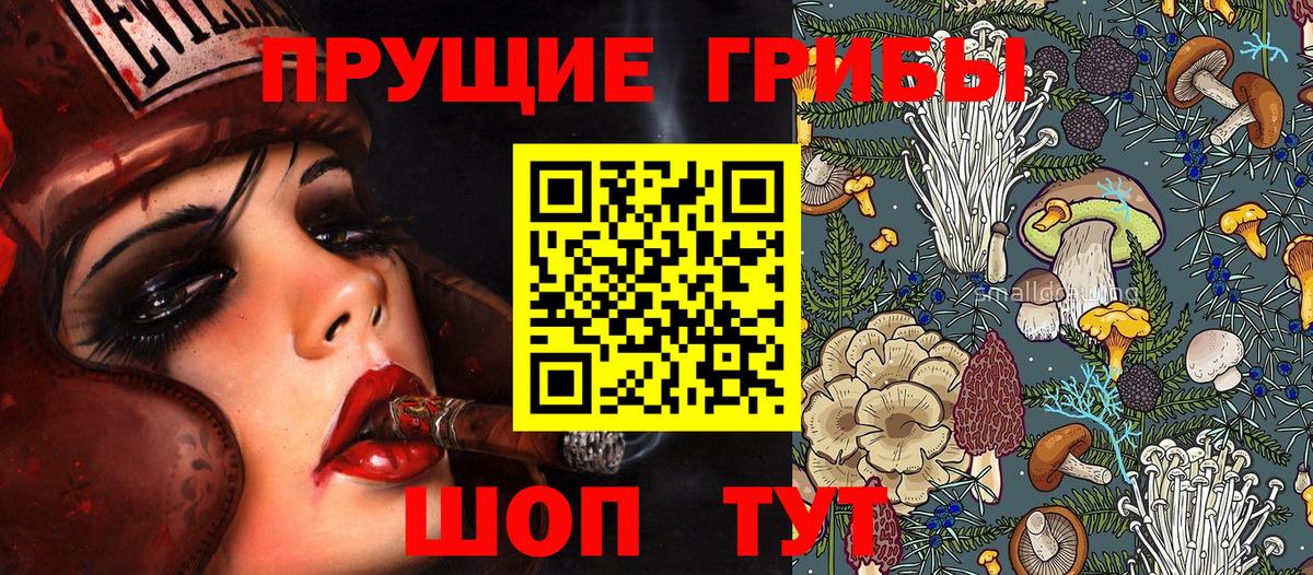 Галлюциногенные грибы MAGIC MUSHROOMS  Галлюциногенные грибы GOLDEN TEACHER  Семилуки  Вход с VPN 